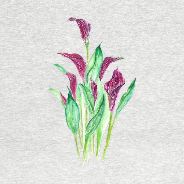 purple calla lily watercolor by colorandcolor